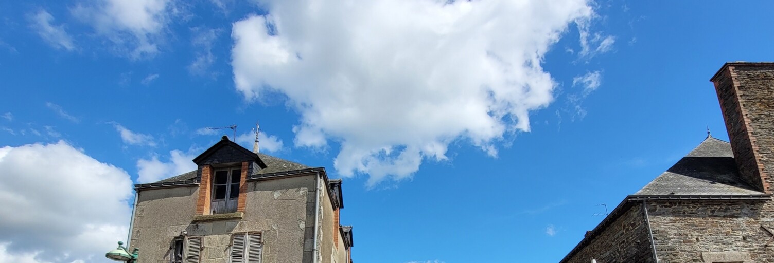 Maison 10 Pièces 500 m² à vendre à Loyat (56800)