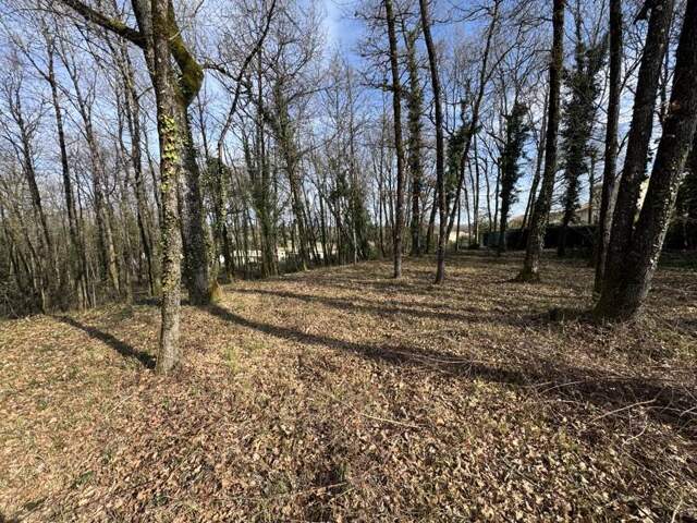 Terrain à bâtir de 0 pièces principales — photo du bien