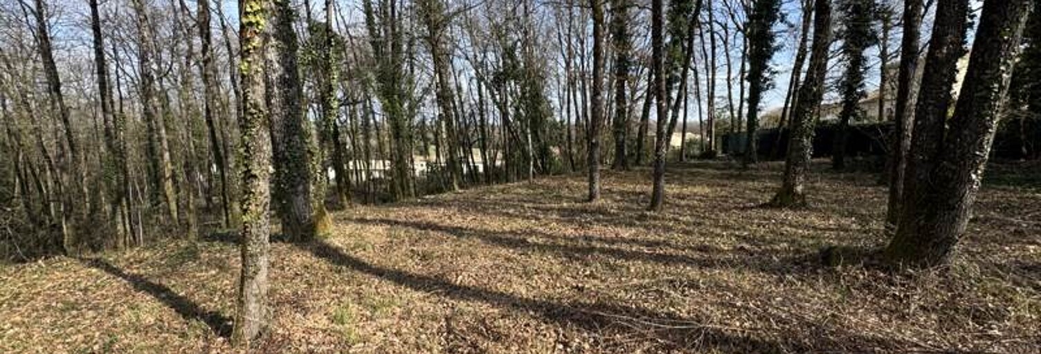 Terrain  1002 m² à vendre à Puymoyen (16400)