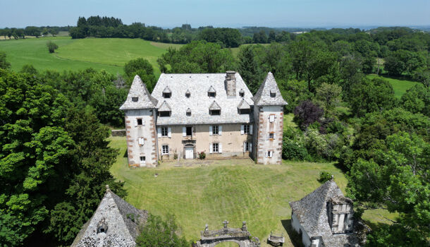 Chateau 13 pièces  à vendre Lacroix-Barrez 12600