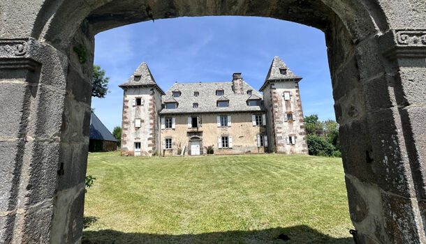Chateau 13 pièces  à vendre Lacroix-Barrez 12600