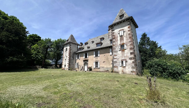 Chateau 13 pièces  à vendre Lacroix-Barrez 12600