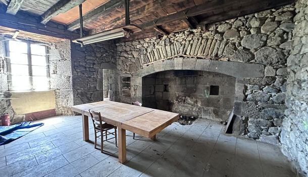 Chateau 13 pièces  à vendre Lacroix-Barrez 12600