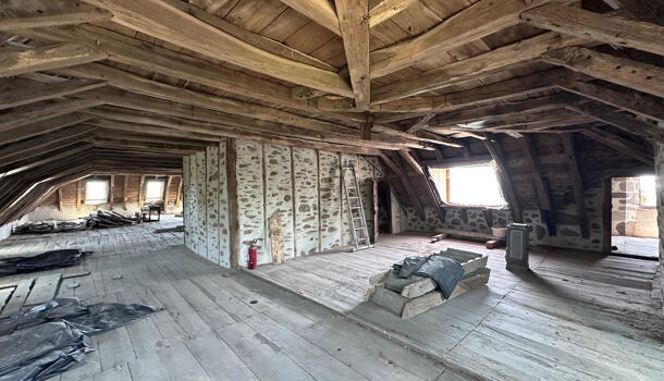 Chateau 13 pièces  à vendre Lacroix-Barrez 12600