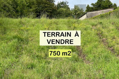 Terrain  51750 €