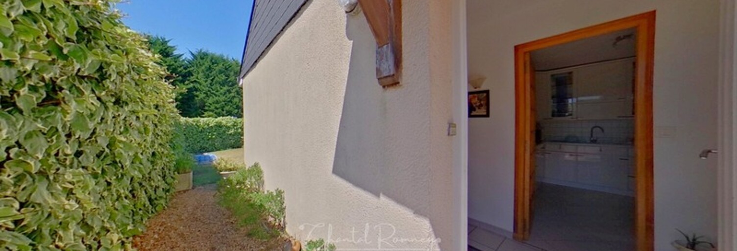 Maison 130 m² en viager Nazelles-Négron (37530)