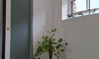 Photo N° 4