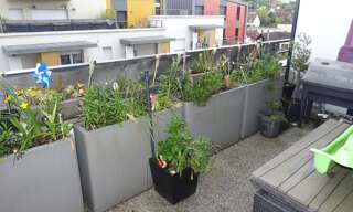 Appartement 3 Pièces 70 m² à vendre à Limeil-Brévannes (94450)