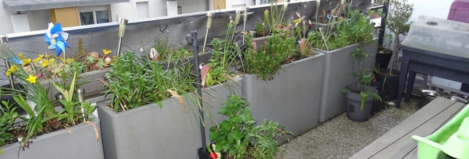 Appartement 3 Pièces 70 m² à vendre à Limeil-Brévannes (94450)