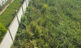Photo N° 5
