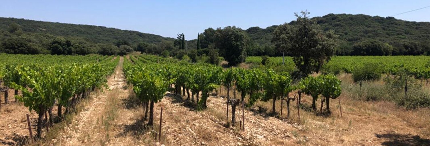 Terrain  43000 m² à vendre à Rochefort-du-Gard (30650)