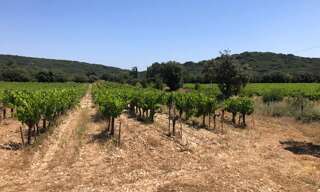 Terrain  43000 m² à vendre à Rochefort-du-Gard (30650)