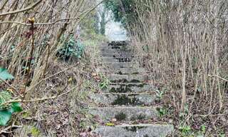 Photo N° 8