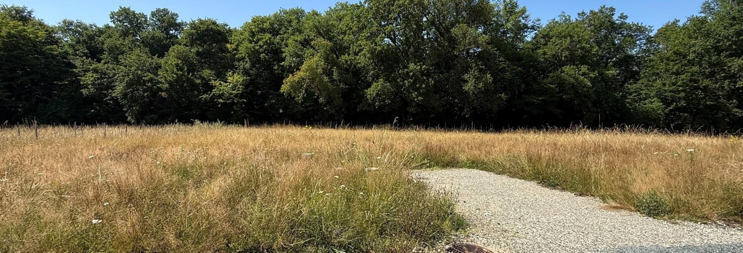 Terrain  1011 m² à vendre à Bouliac (33270)