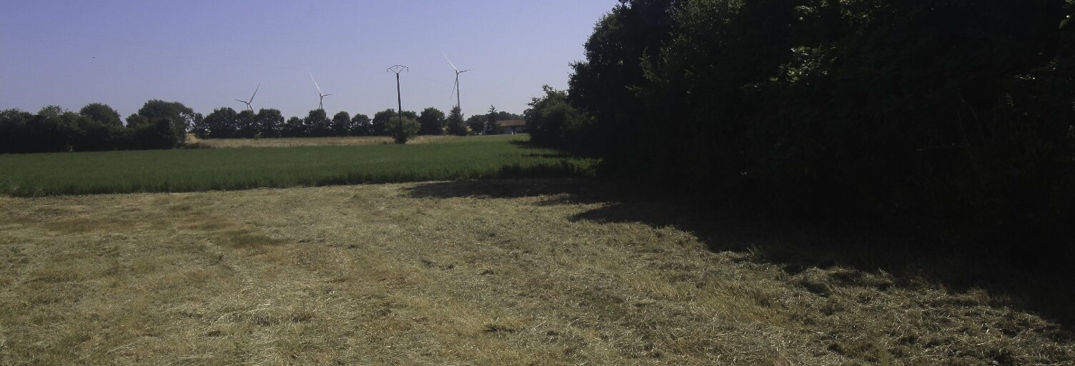 Terrain  2294 m² à vendre à Nachamps (17380)