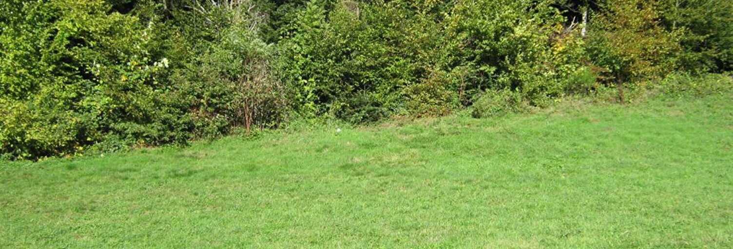 Terrain  800 m² à vendre à Bethonvilliers (90150)