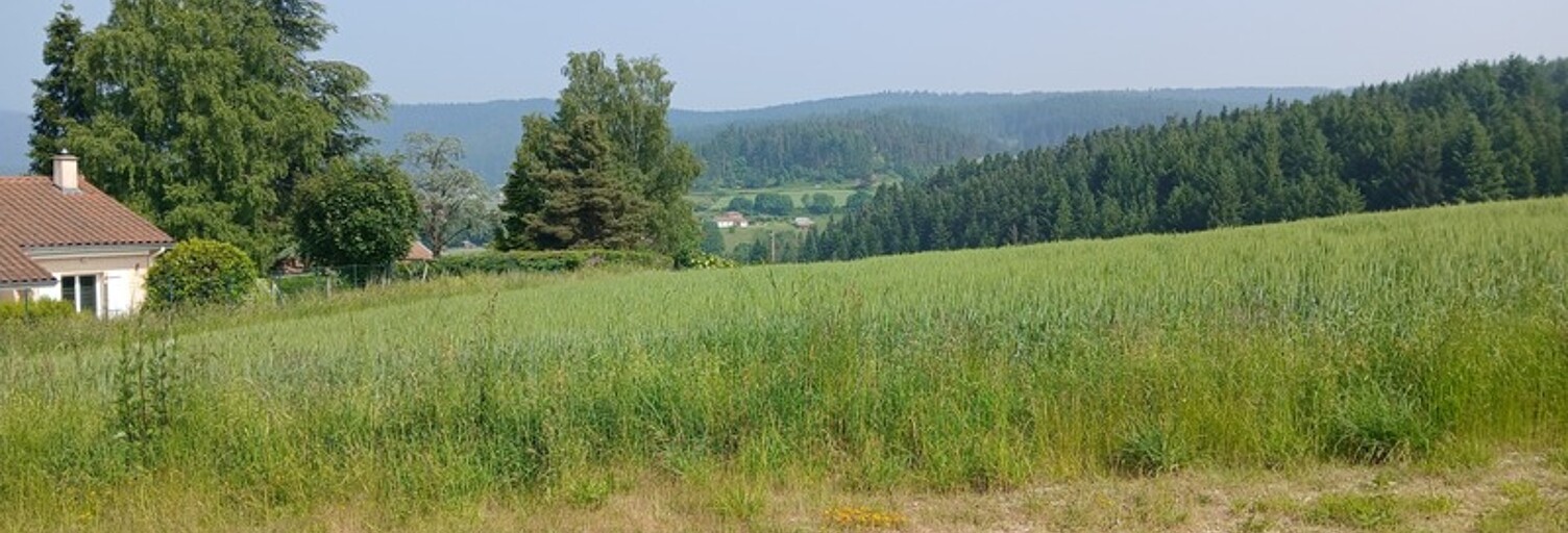 Terrain  950 m² à vendre à Dunières (43220)