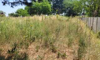 Terrain  983 m² à vendre à Cissac-Médoc (33250)