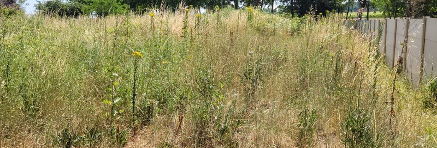 Terrain  983 m² à vendre à Cissac-Médoc (33250)