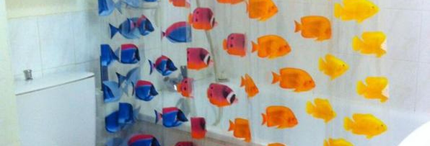 Appartement 1 Pièce 16 m² à louer à Lyon 1 (69001)