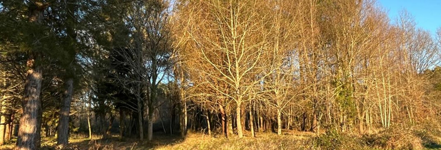 Terrain  1535 m² à vendre à Mios (33380)