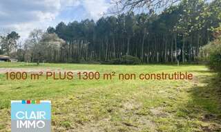 Terrain  1600 m² à vendre à Uzeste (33730)