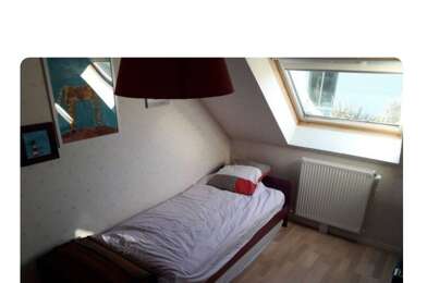 Appartement 1 pièces 330 €