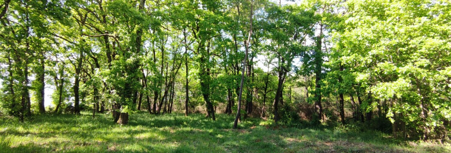 Terrain  2975 m² à vendre à Villefranche-de-Lonchat (24610)