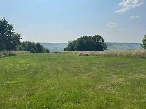 Terrain  à vendre Mareuil-le-Port 51700