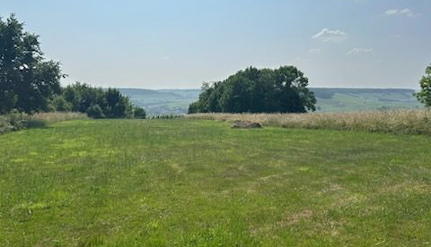 Terrain  à vendre Mareuil-le-Port 51700