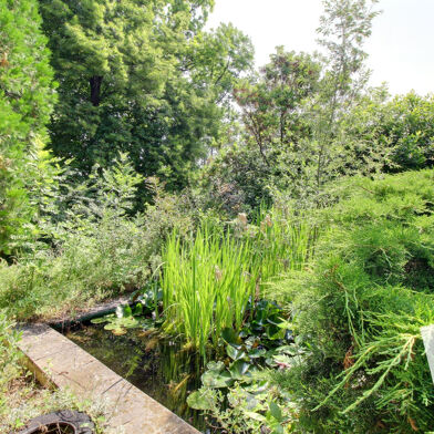 Maison 3 pièces 390000 €