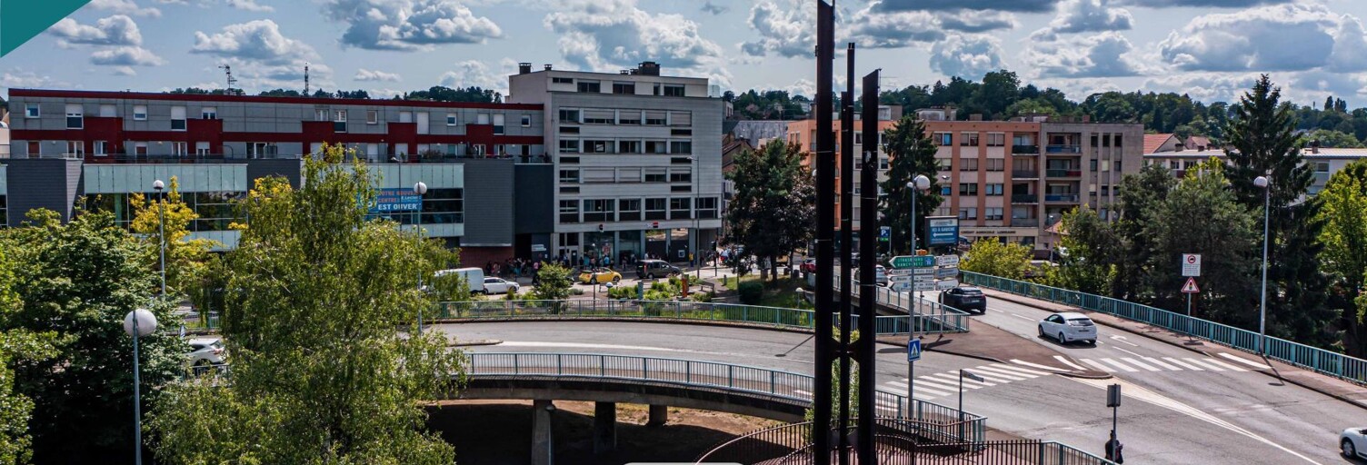 Appartement 6 Pièces 132 m² à vendre à Sarreguemines (57200)