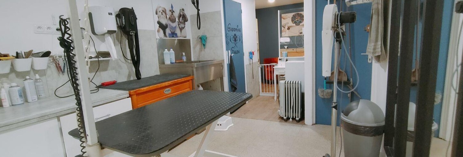 Commerce  70 m² à vendre à Saint-Étienne (42100)