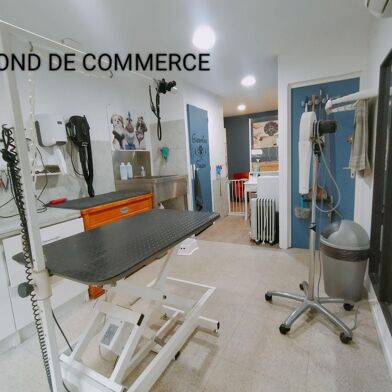 Commerce  10000 €