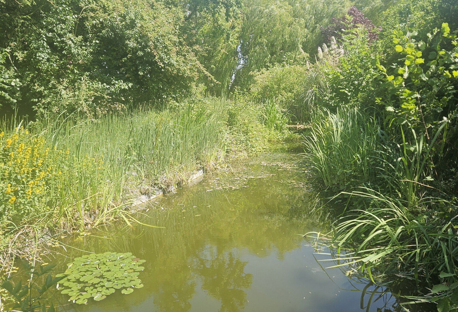 TERRAIN CONSTRUCTIBLE — photo 1