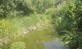 Terrain  2620 m² à vendre à Farbus (62580)