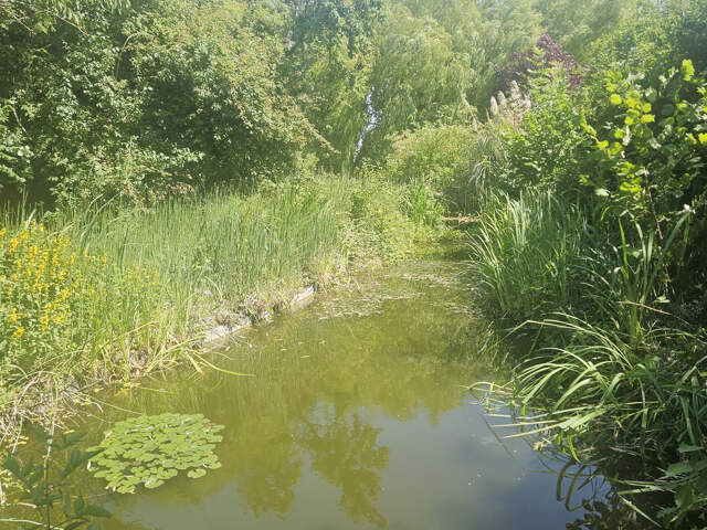 TERRAIN CONSTRUCTIBLE — photo du bien
