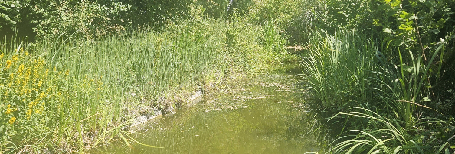 Terrain  2620 m² à vendre à Farbus (62580)