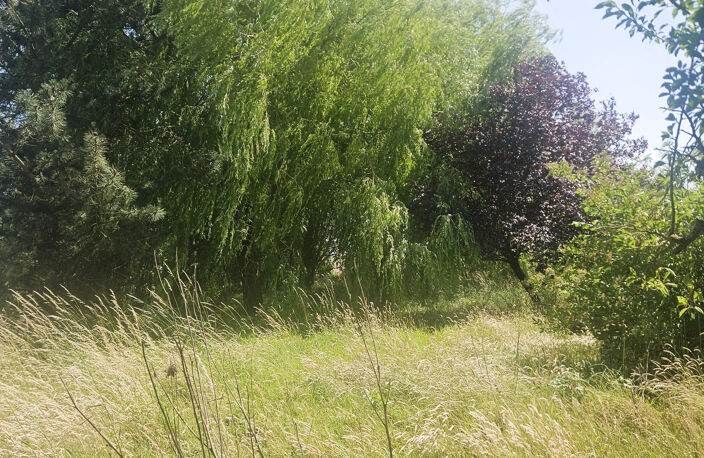 TERRAIN CONSTRUCTIBLE — photo 3