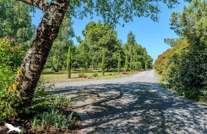 Vente maison 5 pièces 292 m² Gujan-Mestras (33470) — photo 2