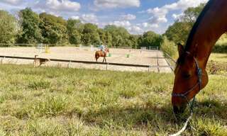 Maison 14 Pièces 395 m² à vendre à Pontoise (95000)