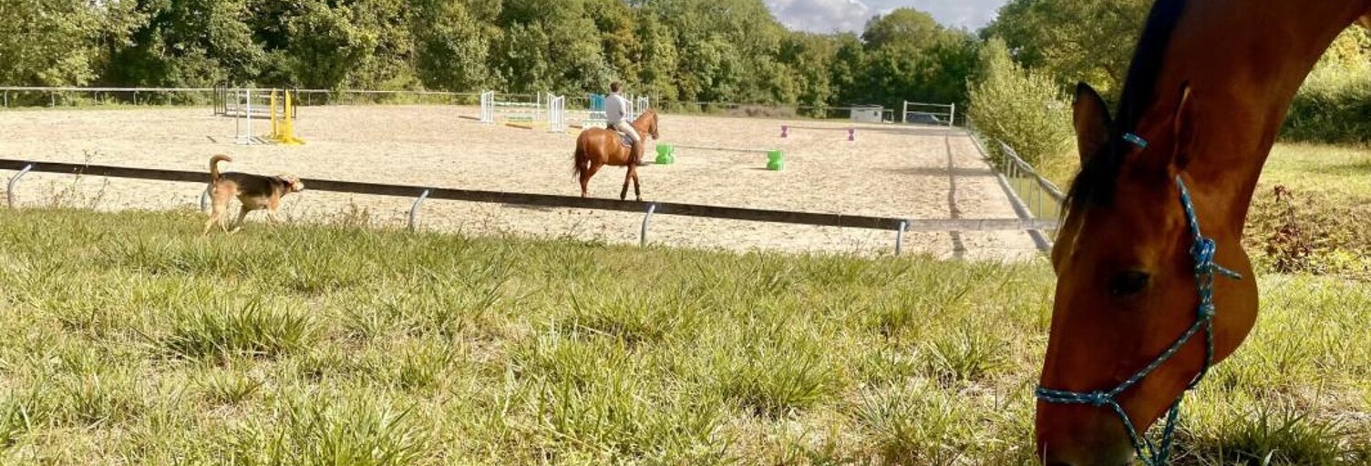 Maison 14 Pièces 395 m² à vendre à Pontoise (95000)