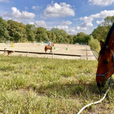 Maison 14 pièces 1700000 €
