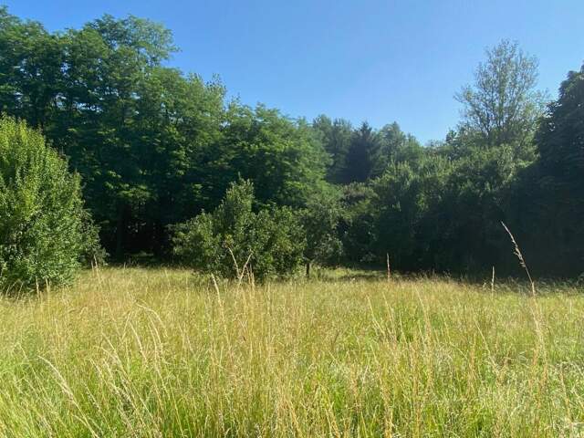 Terrain À Vendre 2750m² — photo du bien