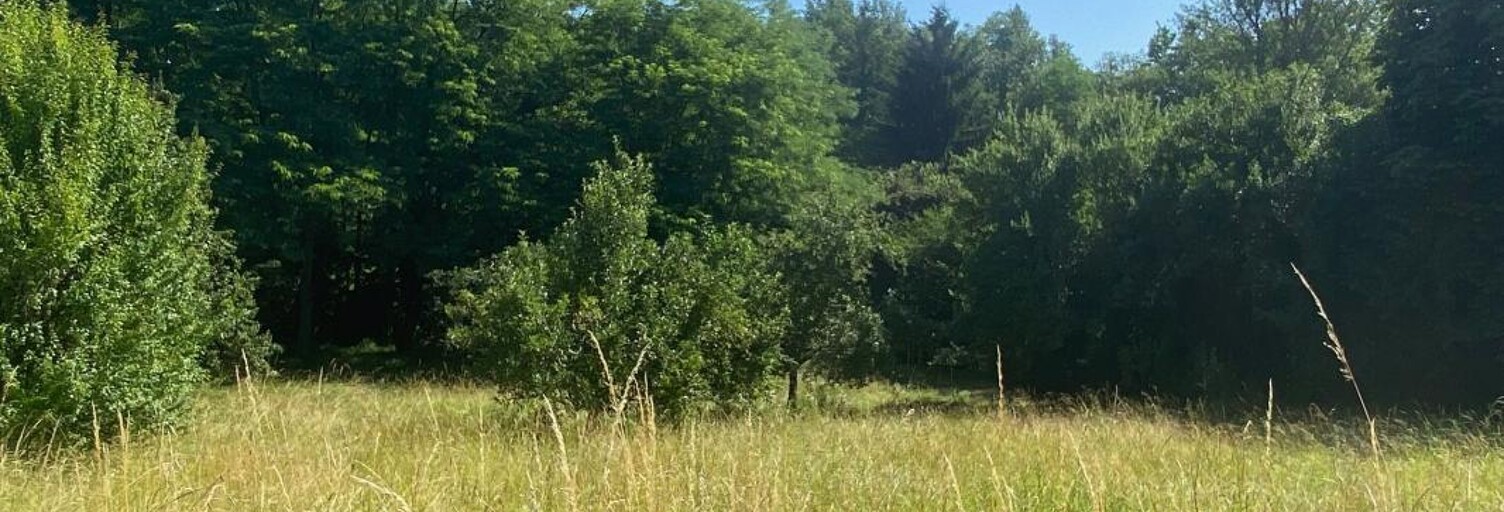 Terrain  2750 m² à vendre à Saint-Genès-de-Lombaud (33670)