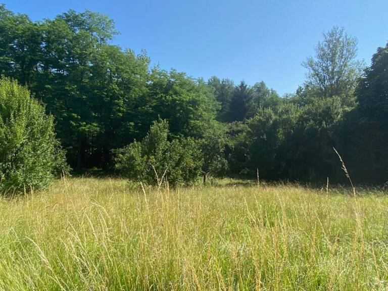 Terrain À Vendre 2750m² — photo 1