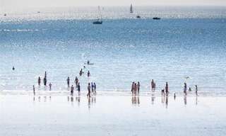 Maison 1 Pièce 30 m² à vendre à Le Havre (76600)