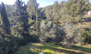 Photo N° 6