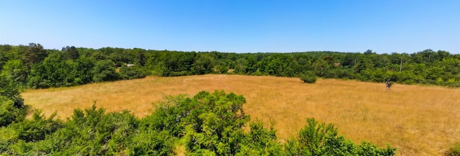 Terrain  13200 m² à vendre à Cubjac-Auvézère-Val d'Ans (24640)