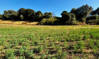 Terrain  1200 m² à vendre à Bastelicaccia (20129)